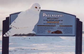 Welcome to Nome.jpg