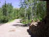 driveway.jpg (324248 bytes)