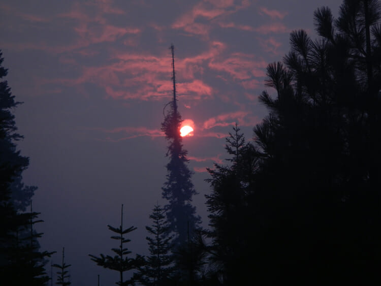 Sequoia Smoky Sunrise
