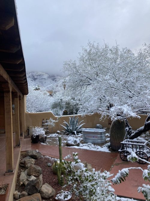 Snow Falling on Saguaros–More on Tucson